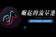 上海抖音SEO服务有没有什么介绍的公司? (上海抖音SEO)