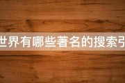 环球最大的搜查引擎是什么 (环球最大的搜索平台)
