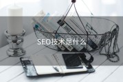 SEO技术是什么