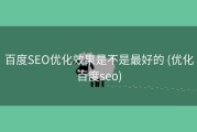 百度SEO优化效果是不是最好的 (优化百度seo)