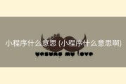 小程序什么意思 (小程序什么意思啊)