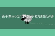 新手做seo怎么做 (新手做短视频从哪开始)