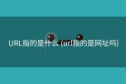 URL指的是什么 (url指的是网址吗)