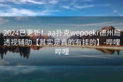 2024已更新！aa扑克wepoekr德州局透视辅助【其实是真的有挂的】-哔哩哔哩