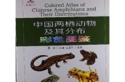 有哪些英文的在线语法审核工具 (有哪些英文的警示语)