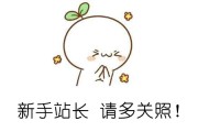 经常使用站长之家的SEO综合查问网站的首页位置的数字突然不显示了 网站被降权 (经常使用站长的工具)