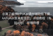 总算了解!WePoKer德州辅助挂下载，AAPoKer原来有挂的，详细教程（有挂app）-哔哩哔哩