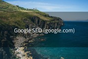 Google SEO (google.com)