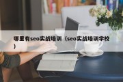 哪里有seo实战培训（seo实战培训学校）