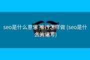seo是什么意思 推行怎样做 (seo是什么的缩写)