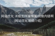 网站优化 详细怎样操作 如何做内链啊 (网站优化详细介绍)