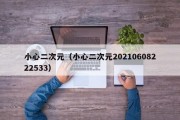 小心二次元（小心二次元20210608222533）