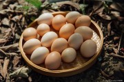 土鸡蛋和普通的鸡蛋有什么区别 哪里有土鸡蛋啊 (土鸡蛋和普通鸡蛋的营养有区别吗)