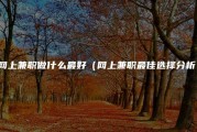 做兼职seo都有哪几种比拟靠谱的赚钱形式 (做兼职失业金被停了)