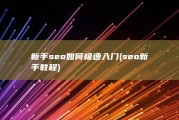 新手seo如何极速入门 (seo新手教程)