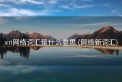 xn网络词汇是什么意思 (网络新词汇)