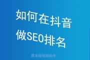 抖音seo怎样不要钱规范 (抖音seo怎么做关键词优化)