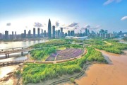 深圳网络推行公司以为网站SEO优化的作用是什么 勇客 (深圳网络推广系统)
