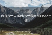 爬虫是什么 (爬虫是什么意思呢网络用语)