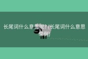 长尾词什么意思呢? (长尾词什么意思举例)