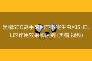 黑帽SEO高手来回答下寄生虫和SHELL的作用效果和区别 (黑帽 视频)