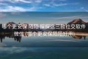 哪个更安保 陌陌 探探这三款社交软件 微信 (哪个更安保陌陌好用)