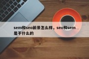 sem和seo前景怎么样，seo和sem是干什么的