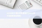 seo运行畛域有哪些? (seo运行机制和流程)