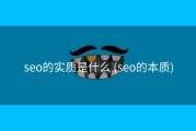 seo的实质是什么 (seo的本质)