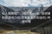 私人局教程！（微扑克wpk）透视辅助挂游戏介绍(原来是真的有挂的)-哔哩哔哩