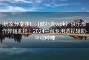 玩家分享挂！（微扑克wpk）俱乐部作弊辅助挂！2024平台专用透视辅助-哔哩哔哩
