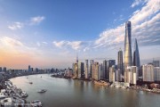 怎样做 上海网站优化哪里有 (怎样做上海网约车赚钱)