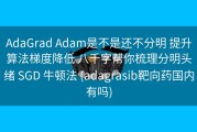 AdaGrad Adam是不是还不分明 提升算法梯度降低 八千字帮你梳理分明头绪 SGD 牛顿法 (adagrasib靶向药国内有吗)