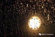 做了一年SEO还在停留发文章，我觉得你自己是否有改变？