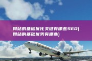 网站的基础优化关键有哪些 SEO (网站的基础优势有哪些)