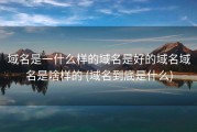 域名是一什么样的域名是好的域名域名是啥样的 (域名到底是什么)