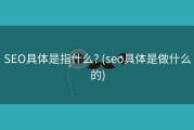 SEO具体是指什么? (seo具体是做什么的)