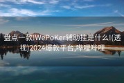 盘点一款!WePoKer辅助挂是什么!(透视)2024爆款平台,哔哩哔哩