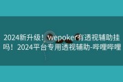 2024新升级！wepoker有透视辅助挂吗！2024平台专用透视辅助-哔哩哔哩