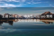 王通 seo 培训：中大型网站 seo 策略与其他培训的差异