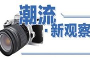 2025 年日历市场百花齐放，传统与现代元素融合，满足多样需求