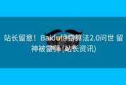 站长留意！Baidu惊雷算法2.0问世 留神被雷劈 (站长资讯)