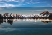 私人局教程！AAPOKER透视辅助软件挂[2024最新开发黑科技]-哔哩哔哩