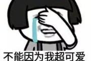 pokemon go 放弃中国区，中国爸爸马上做出同款