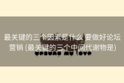 最关键的三个因素是什么 要做好论坛营销 (最关键的三个中间代谢物是)