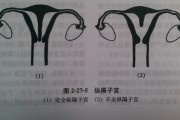 一个完整SEO团队须要哪些人员装备 (一个完整睡眠周期多长时间)