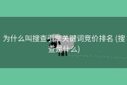 为什么叫搜查引擎关键词竞价排名 (搜查是什么)