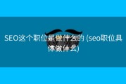 SEO这个职位是做什么的 (seo职位具体做什么)
