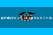 垂直电商怎么做SEO (垂直电商怎么样)