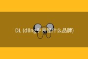 DL (dllng手表是什么品牌)